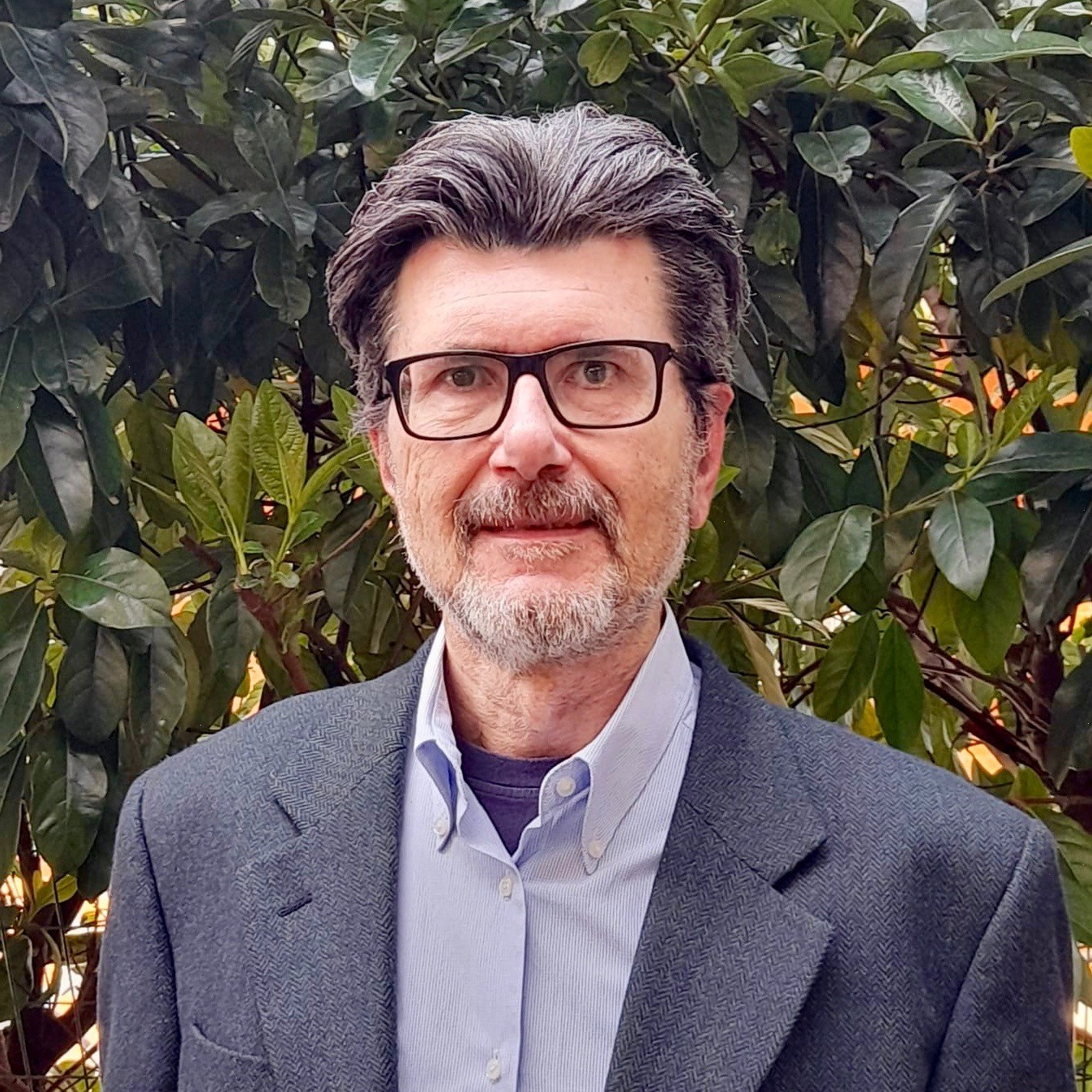 Andrea Ricci